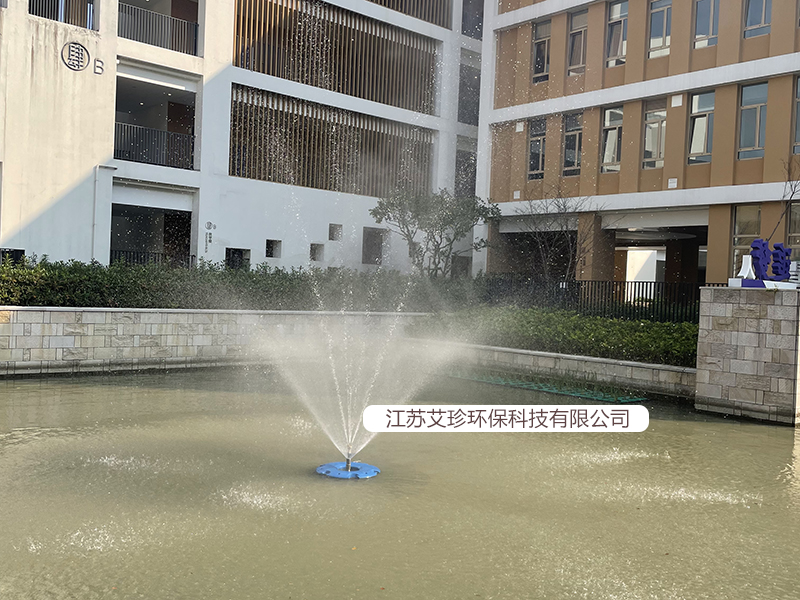 蘭花型噴泉曝氣機艾珍環保.jpg